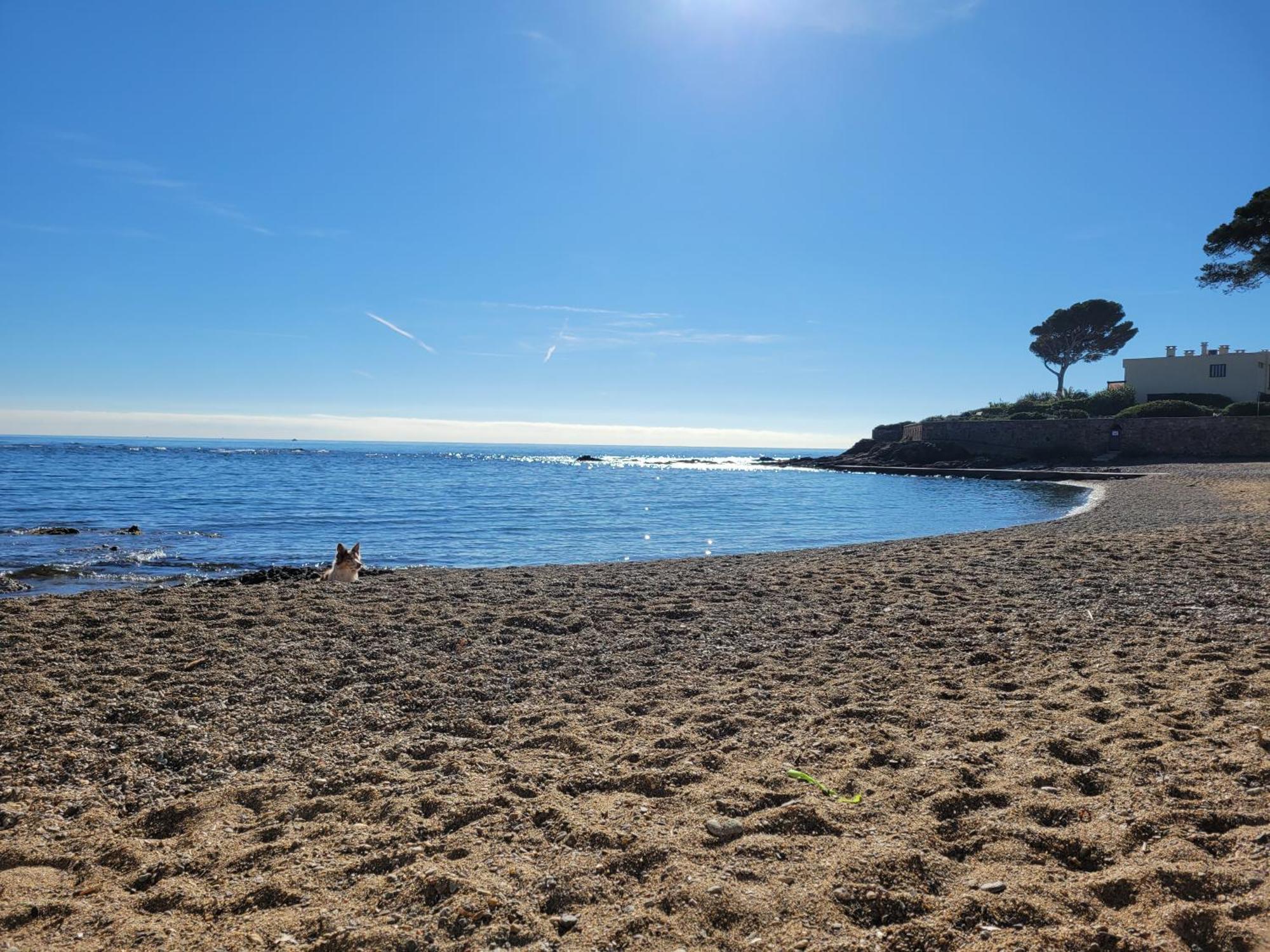 Appartement La Tranquillite, 2Mn A Pieds Mer Fréjus Buitenkant foto